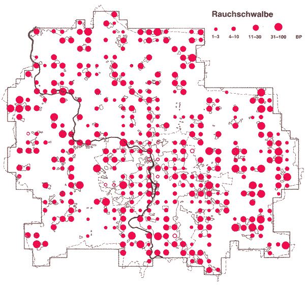 Verbreitung der Rauchschwalbe in Halle und Umgebung 1983-1986 Verbreitung der Rauchschwalbe in Halle und Saalkreis 1983-1986