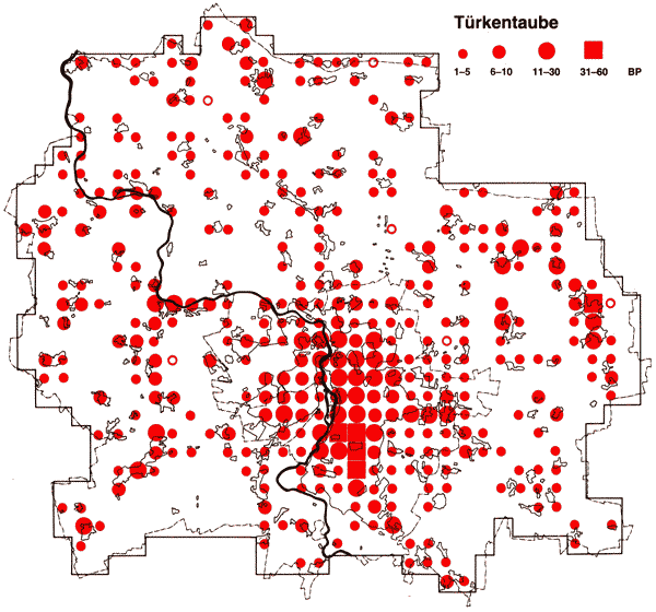 Verbreitung der Türkentaube in Halle und Umgebung 1983-1986 Verbreitung der Türkentaube in Halle und Saalkreis 1983-1986