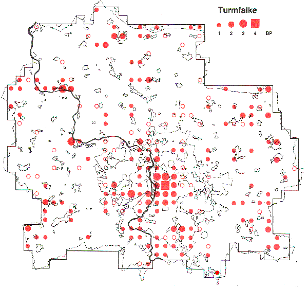 Verbreitung des Turmfalken in Halle und Umgebung 1983-1986 Verbreitung des Turmfalken in Halle und Saalkreis 1983-1986